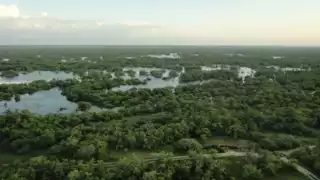 Yucatán forma parte de sitos declarados Áreas Naturales Protegidas