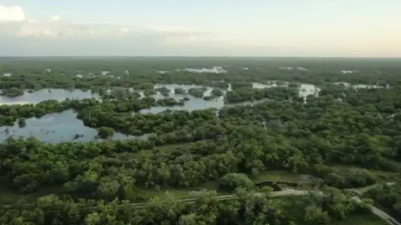 Yucatán forma parte de sitos declarados Áreas Naturales Protegidas Yucatán forma parte de sitos declarados Áreas Naturales Protegidas