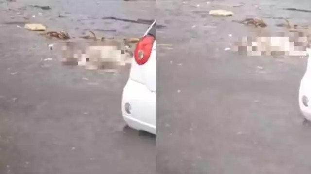 Se desconoce el origen del cadáver y la causa de muerte