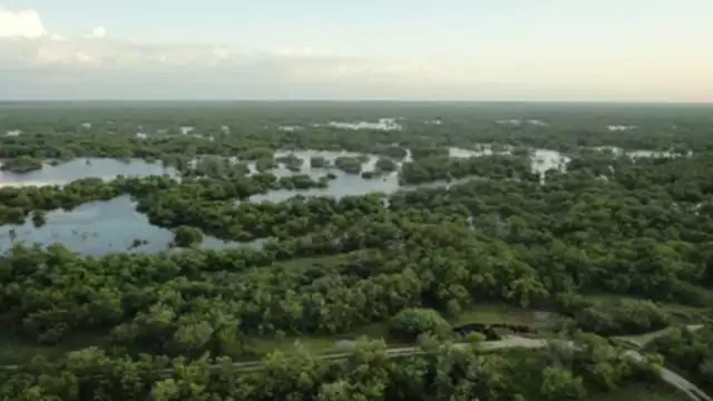 Yucatán forma parte de sitos declarados Áreas Naturales Protegidas