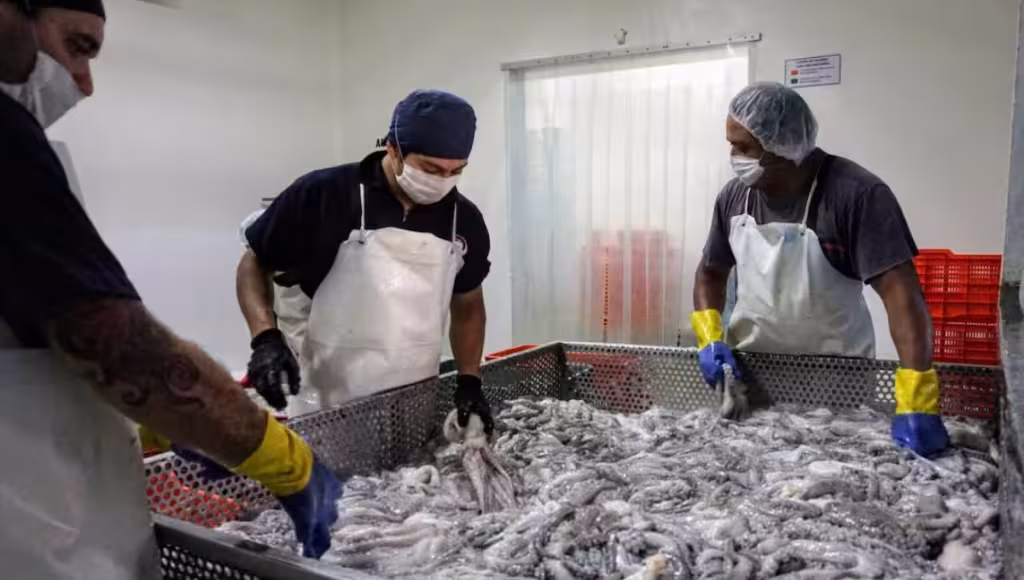 Exportaciones de Yucatán crecen 11.9% impulsadas por manufactura y pesca