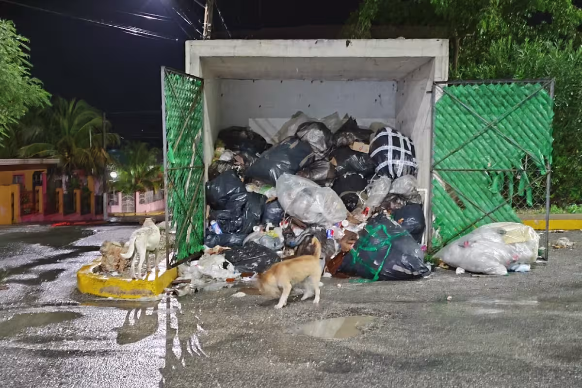 Vecinos reportan acumulación de basura en la zona comercial de Tizimín ...