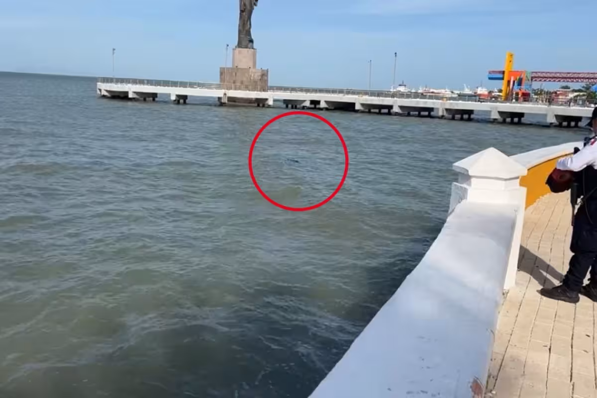 Hallan el cuerpo de un hombre ahogado el malecón de Ciudad del Carmen ...
