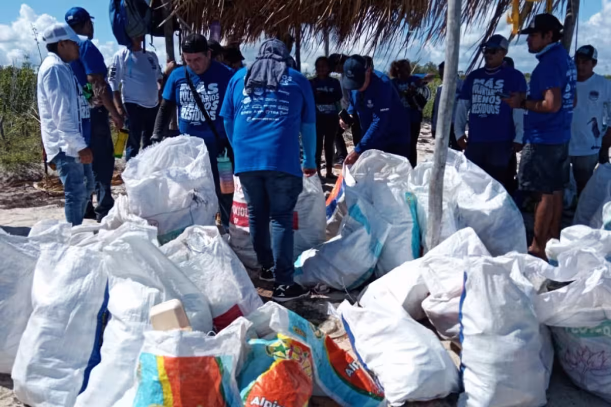 Más de 2 mil voluntarios retiran 4 toneladas de basura en 15 playas de ...