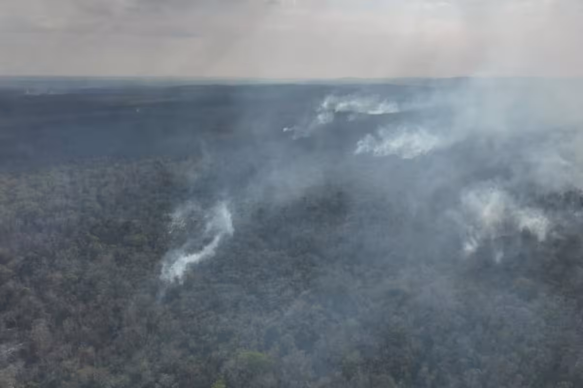 Campeche: Incendio forestal de Chun Ek, controlado en un 58 por ciento ...