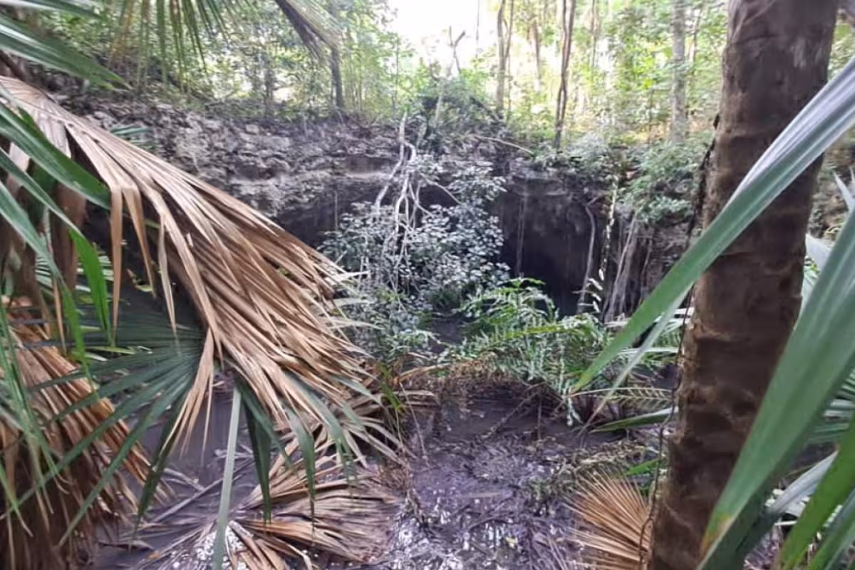 Clausuran obra en Playa del Carmen por presunto relleno de un cenote ...