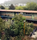 Clases en el CCH Sur de la UNAM quedan suspendidas por vandalización.