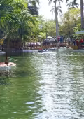 Especialistas del Cinvestav colaboran en la evaluación del lago del Centenario