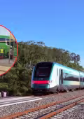 Una falla mecánica detuvo un convoy del Tren Maya la tarde de este lunes en Campeche.