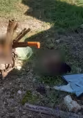 La comisaria Flori Euan intervino ante la inquietud de vecinos de Komchén