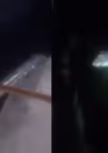 Captan a tapir durante recorrido nocturno en la Reserva de Balam Ku, Campeche