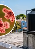 Surgen dudas sobre si la ameba Naegleria puede hallarse en los tinacos de las casas