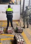 El Gabinete de Seguridad señaló que este decomiso representa una afectación económica estimada en más de 29 millones de pesos
