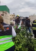 Lluvias colapsan la CDMX: inundaciones, árboles caídos y caos vial este lunes.