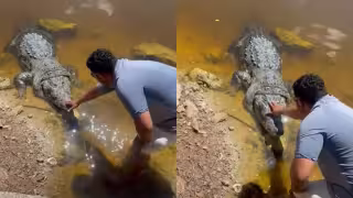 “Siempre seré amante de la adrenalina”: Como si fuera un perro, Comisario de Sisal acaricia a un cocodrilo en la ciénega