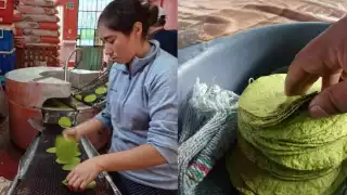Empezaron a trabajar un proyecto para elaborar tortillas con base de chaya.

