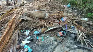 Vecinos cercanos afirmaron que muy rara la vez se realizan los trabajos de limpieza