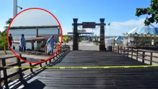 Los pescadores intentaron tirarle redes y cordeles para poder rescatarlo