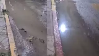 Las aguas negras eventualmente llegan al océano, afectando el arrecife y los pastos.