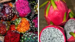 La pitaya y la pitahaya se consideran exóticas; se cultivan tanto como plantas ornamentales como para la recolección del fruto y generan flores hermosas. Foto: Especial