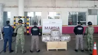 Marina decomisa 96 kilos de droga psicodélica DMT en el puerto de Veracruz durante inspección aduanera