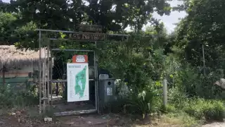 Reserva Estatal 'Laguna Manatí' en Cancún, ¡contaminada!; la usan como basurero