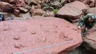 Huellas de dinosaurio, el increíble descubrimiento de un niño en China