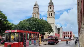 Se ha dado mantenimiento a las unidades para garantizar buen servicio