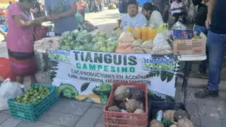 Productores de Sembrando Vida instalan tianguis campesino en Palizada