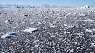México llega a la Antártida: así fue la primera expedición científica que estudia el cambio climático