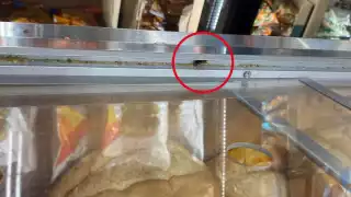 La usuaria encontró la cucaracha en Bodega Aurrera