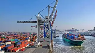 El 58 por ciento corresponden a mercancías de origen animal,