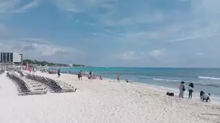 Ecologistas denuncian negligencia ambiental del Hotel Grand Hyatt en Playa del Carmen