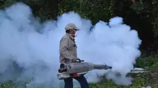 El pasado lunes se reportó la muerte de un niño con síntomas de dengue