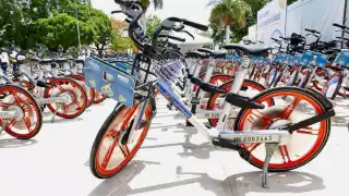 Las multas podrían alcanzar hasta los 10 mil pesos