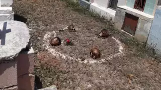 En el lugar se encontró un círculo con cuatro cráneos humanos