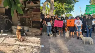 Dionisio “N” podrá enfrentar el proceso en libertad