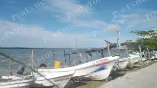 Con apenas cinco kilos por salida, pescadores abandonan temporada de pulpo en Sabancuy