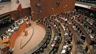 Los candidatos serán elegidos mediante una encuesta