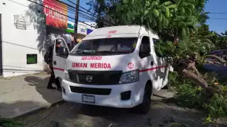 Árbol aplasta a una combi en Mérida y deja una pasajera lesionada