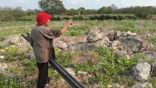 El campesino Arcadio Aguilar se queja de que los pájaros se están alimentando de las siembras