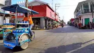 Esta región es conocida como Soconusco, y se encuentran parte de las reservas de la biosfera llamadas El Triunfo