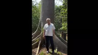 AMLO asegura que intentan prohibir las 'mañaneras': "No van a poder"