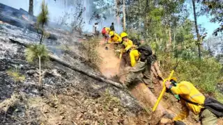 Hasta la fecha, cuatro personas han perdido la vida mientras luchaban contra los 116 incendios forestales activos que se extienden por varios estados del país