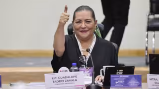 Guadalupe Taddei renuncia al INE tras una “profunda reflexión”