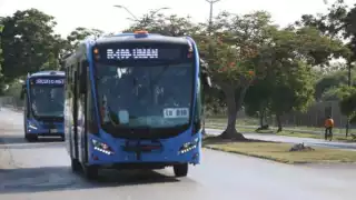 La ruta de Va y Ven en Umán ahora llegará hasta la Estación del Tren Maya en Poxilá