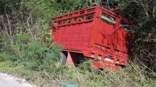 No se reportaron personas lesionadas pero el camión fue trasladado al corralón