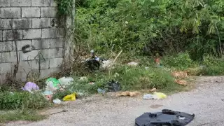 Denuncian basurero clandestino en Las Brisas, Champotón: restos de animales y olores afectan a estudiantes