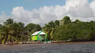 Quintana Roo: Invasión de sargazo dejaría a Isla María Elena sin arena