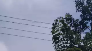 Se registran problemas de luz en Mérida